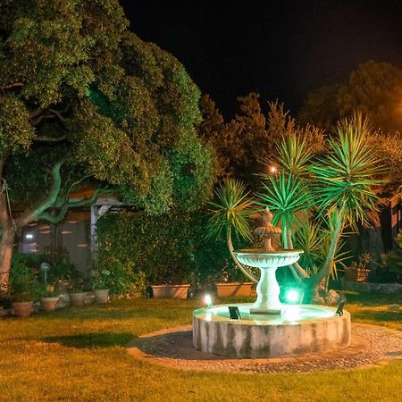B&B Villagus Praia a Mare Ngoại thất bức ảnh